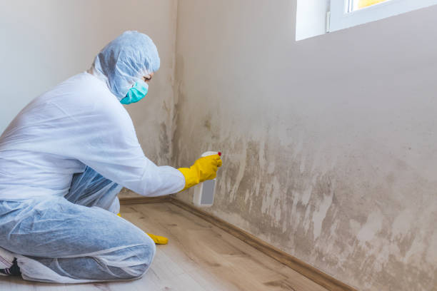 Licensed Crawl Space Mold Removal service in Young America, MN - WQB Mold Removal