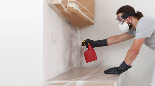 Professional Crawl Space Mold Removal technician working in Young America, MN