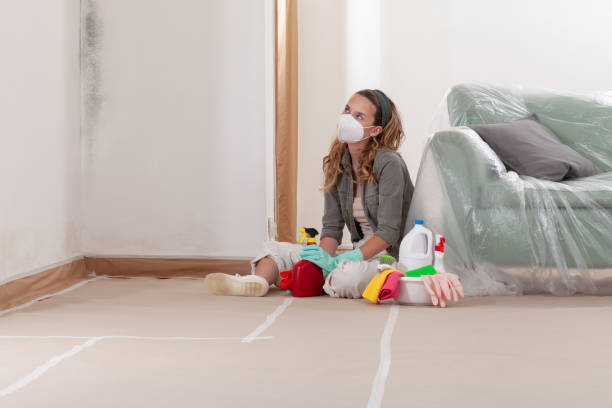 Reliable Crawl Space Mold Removal contractor in Young America, MN by WQB Mold Removal